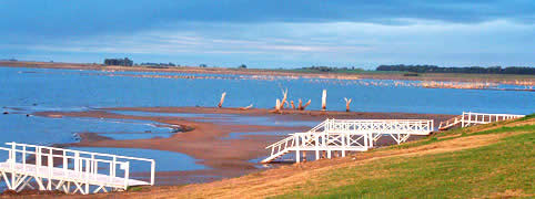 Termas de Carhue