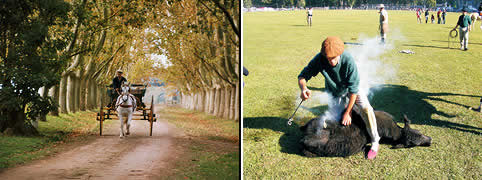 Turismo Rural en Buenos Aires