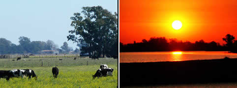 Turismo Rural en Buenos Aires