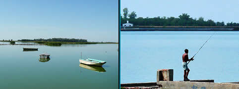 Pesca en Junin