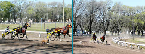 Turismo Rural en Lincoln