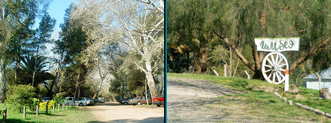 Turismo Rural en Pedro Luro