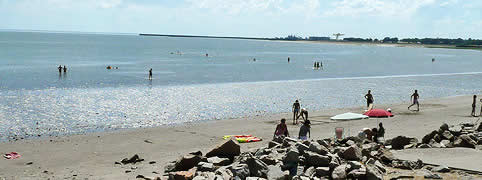 Playas de Punta Alta