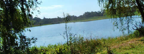 Pesca en San Nicolas de los Arroyos