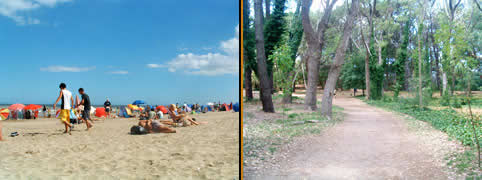 Atractivos Turisticos en Villa Gesell