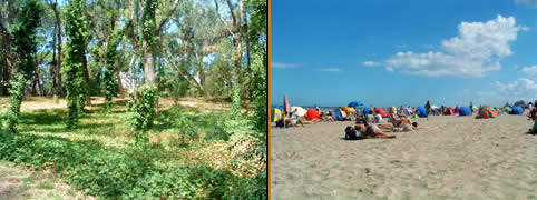 Turismo en Villa Gesell